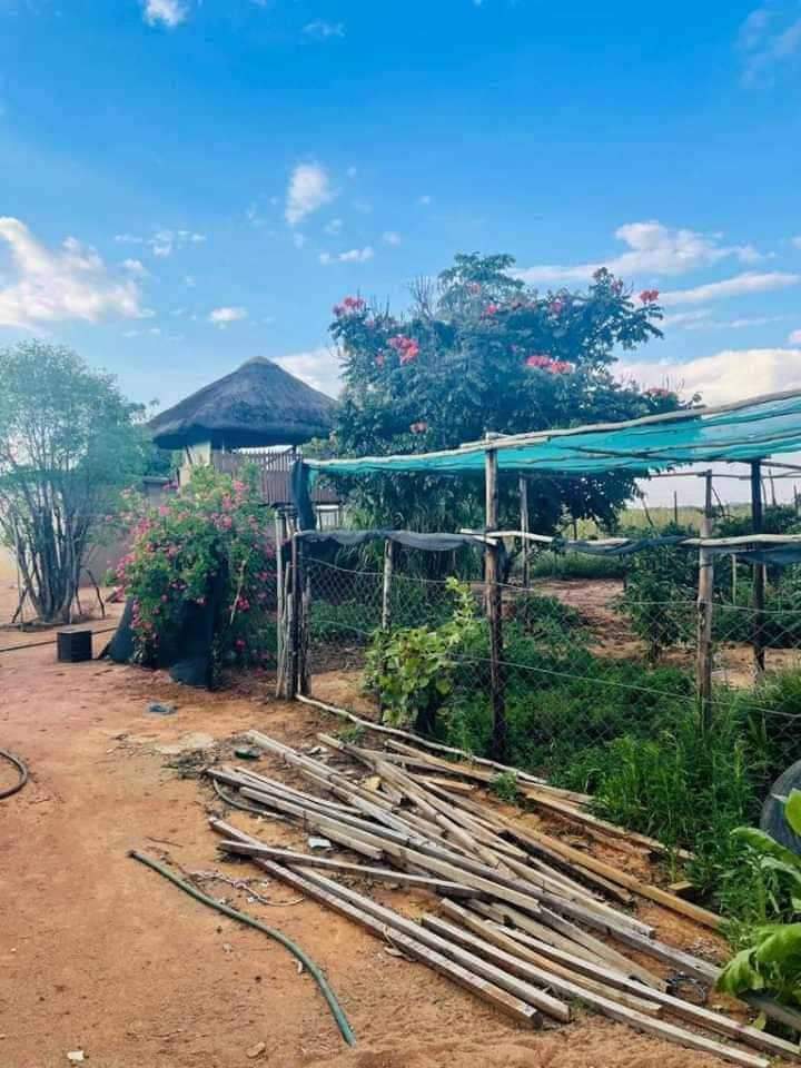 FARM FOR SALE IN TLOANENG