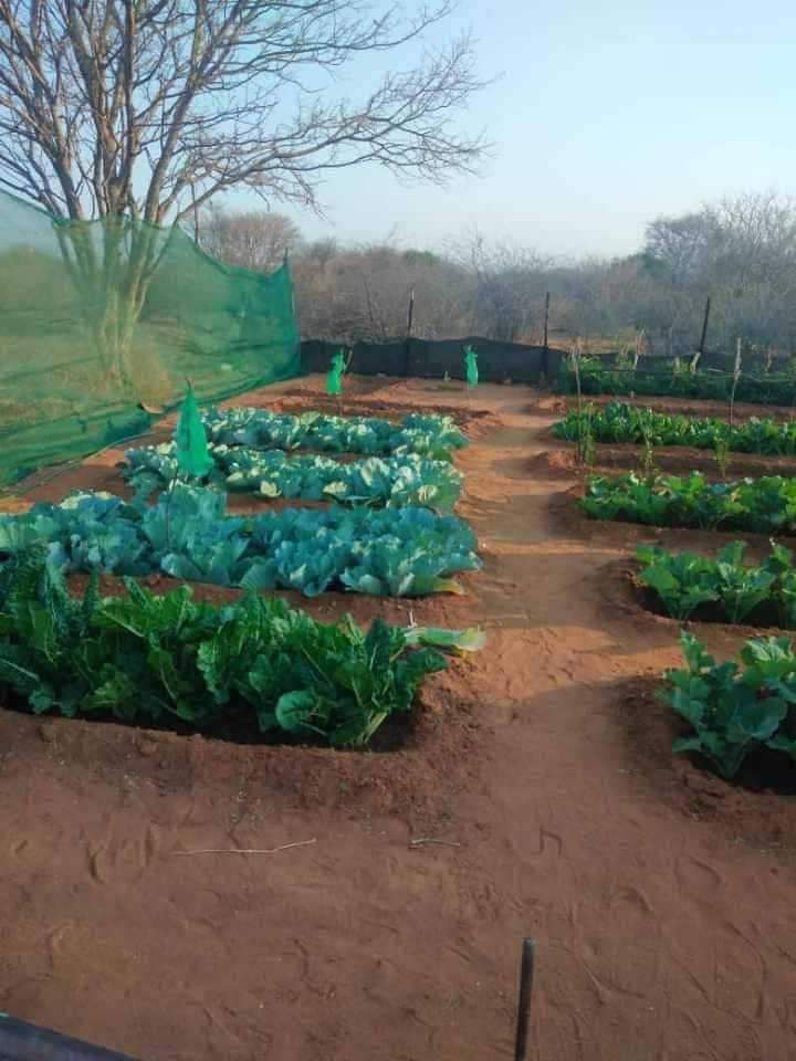 FARM FOR SALE IN TLOANENG