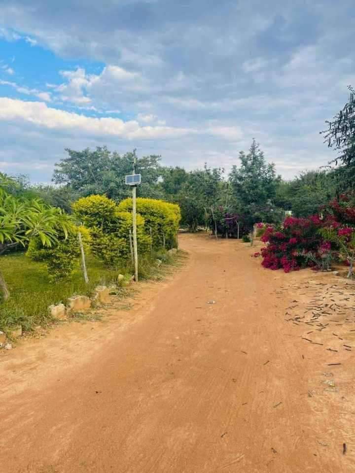 FARM FOR SALE IN TLOANENG