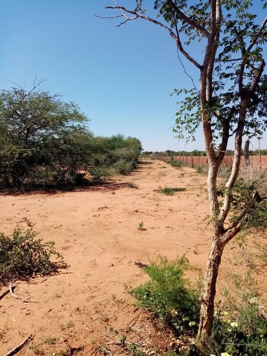 FARM FOR SALE IN KGATLENG