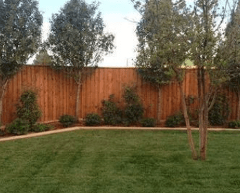 Screenshot-2025-01-15-4.52.59-PM