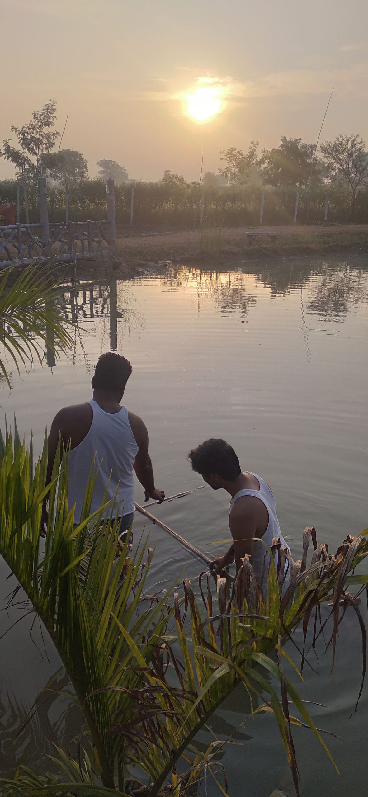 Ajinkya Jungle Lake Farms